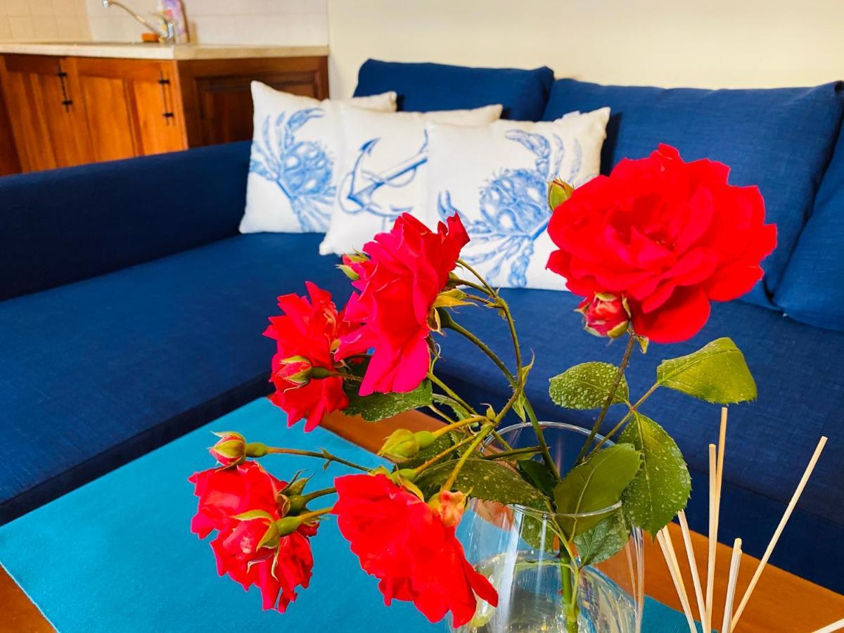 Santa Marina 2-Bedroom Apt. W/ Sea View + Terrace ソゾポル エクステリア 写真